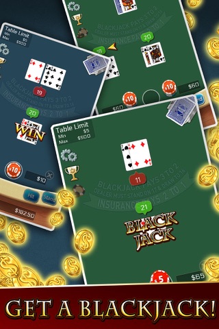 Blackjack 21 Mania! screenshot 2