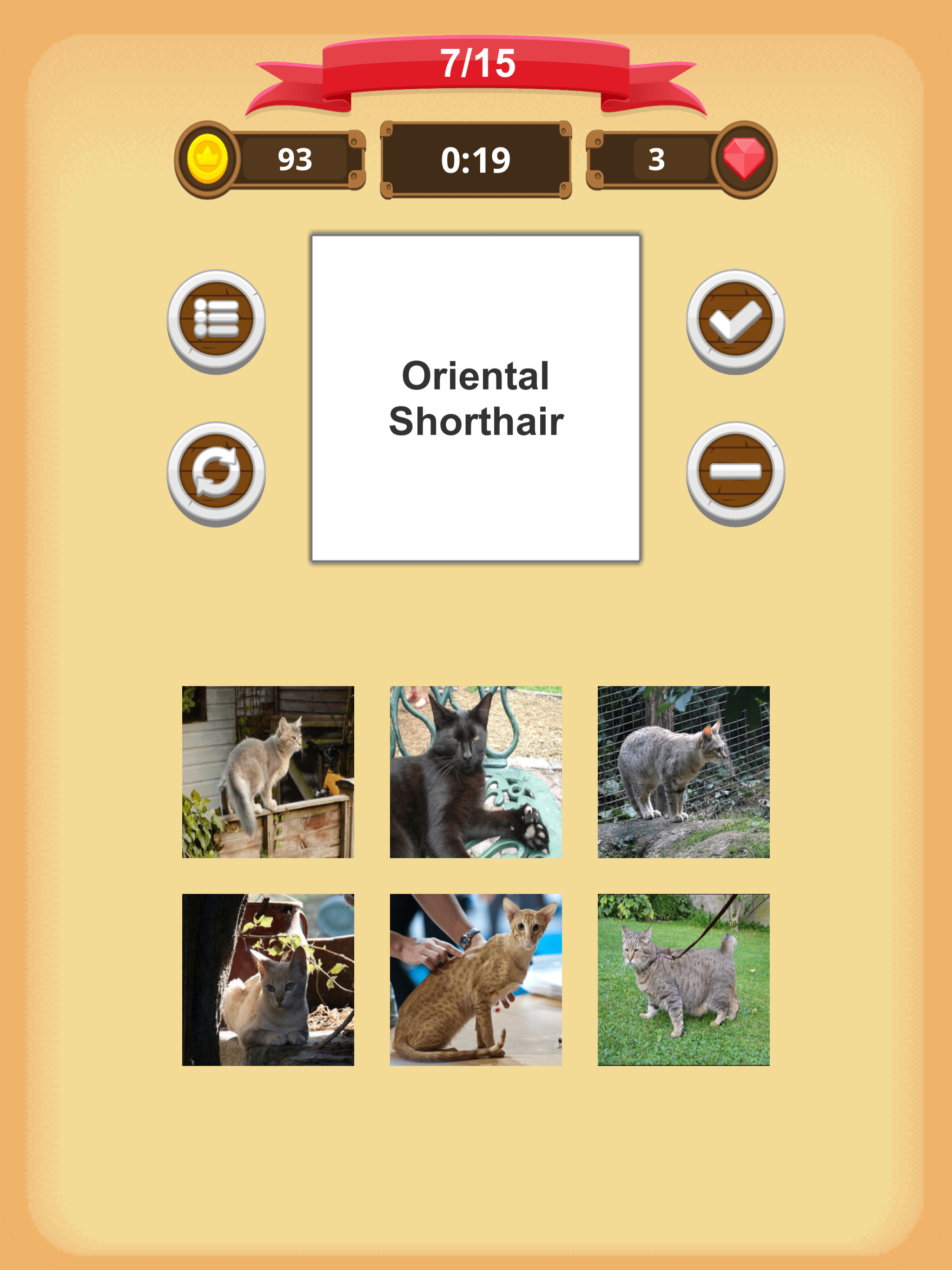 Cats - Quiz