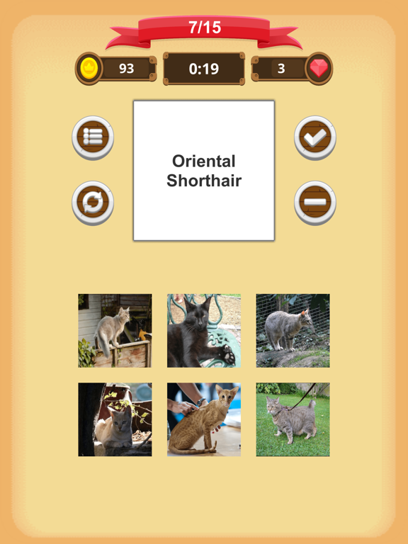 Cats - Quiz iPad screenshot