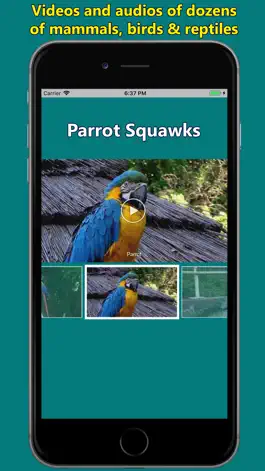 Game screenshot Names of Animal Sounds apk