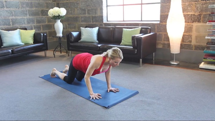 Prenatal Yoga and Pilates screenshot-3