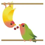 Cute Birds And Love Sticker App Contact
