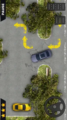 Game screenshot Car Drive Parking. hack