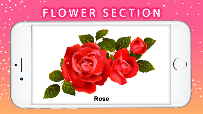 Picture Name Learning