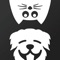 Introducing Heads & Tails by Petco - the first iOS app where you can win money for taking cute pet selfies