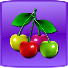 Activities of Fruit Master Lite