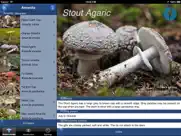 mushroom id guide - uk ipad capturas de pantalla 2
