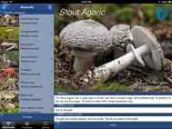 Mushroom Id Guide - UK ipad bilder 1