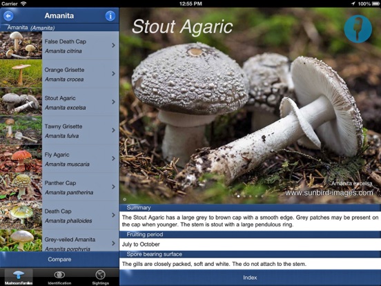 Mushroom Id Guide - UK iPad app afbeelding 2