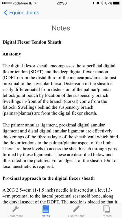 Equine Joint Injections