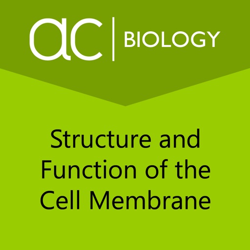 Cell Membrane