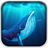 Blue Whale Survival