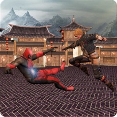 Activities of Superheroes Vs Kungfu Fighters