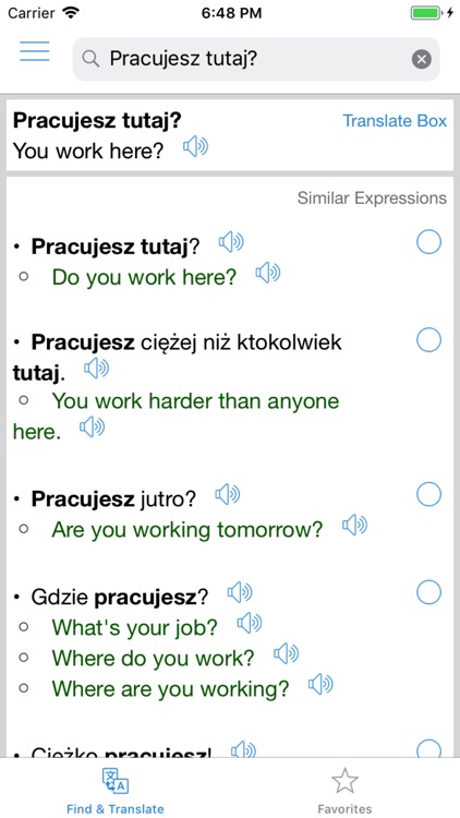 Polish Translator Offline