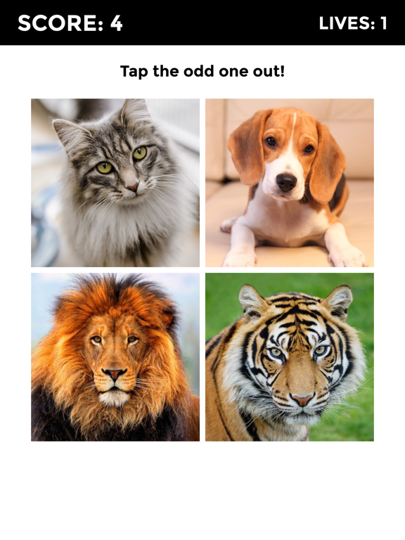 Screenshot #4 pour Odd One Out - Trivia Quiz Game