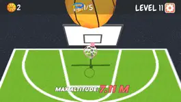 Game screenshot Basketball Hoops Master hack