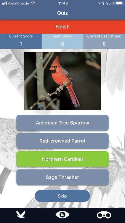 Bird Id USA backyard birds screenshot-5