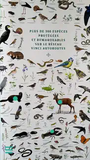 animalia by vinci autoroutes iPhone Captures Décran 1