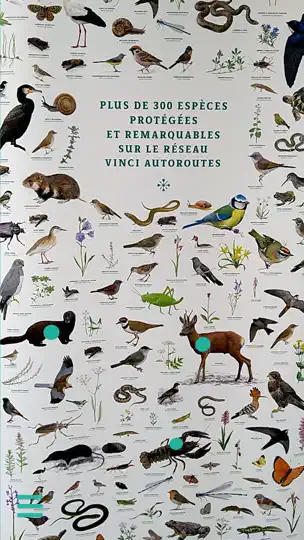 Capture d'écran de ANIMALIA By VINCI Autoroutes sur iPhone 1