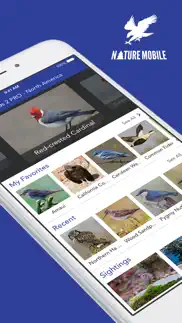 iknow birds pro - usa iphone screenshot 1