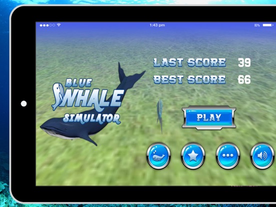 Screenshot #4 pour Blue Whale Simulator