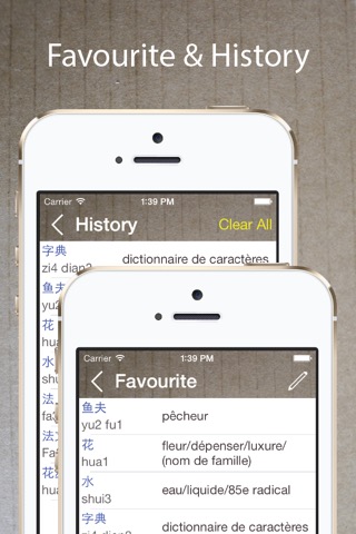 Chinese French Dictionary 法中词典のおすすめ画像4