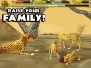 cheetah simulator ipad capturas de pantalla 2