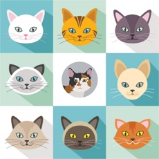 Activities of Cat Breeds Quiz
