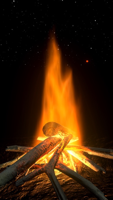 Log Fire image #1