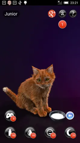 Game screenshot My Kitten (Cat Simulator) mod apk