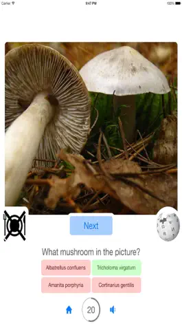 Game screenshot Guess Mushroom hack