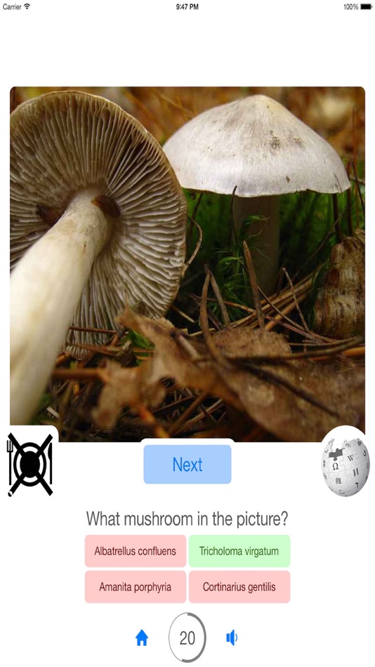 #3. Guess Mushroom (iOS) Podle: 40 BYTE YAZILIM BILISIM REKLAM E-TICARET LIMITED SIRKETI