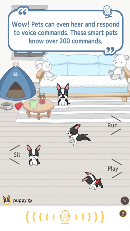 Hellopet