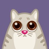 Cat Power – Animated Stickers