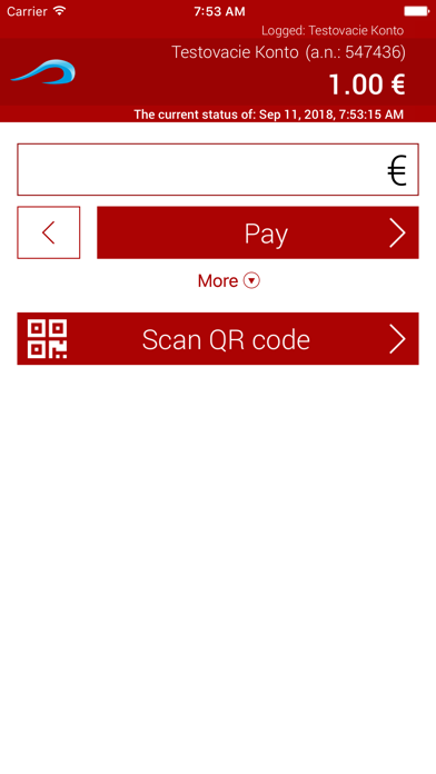 SkyPayments screenshot 3