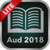 Auditing Theory 2018 Lite