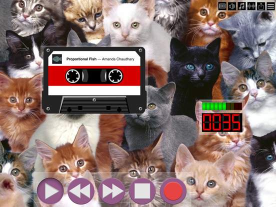 CatSynth Cassette iPad screenshot 4 - Music app