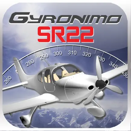 Cirrus SR22 Читы