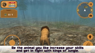 Wild Lion Simulator Attack 3D screenshot 3