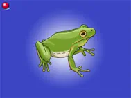 Hippi 1 ipad bilder 1