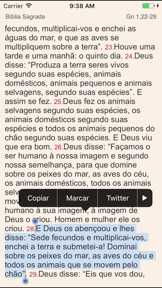 Bíblia Sagrada screenshot