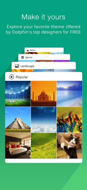 Dolphin Mobile Browser(圖3)-速報App