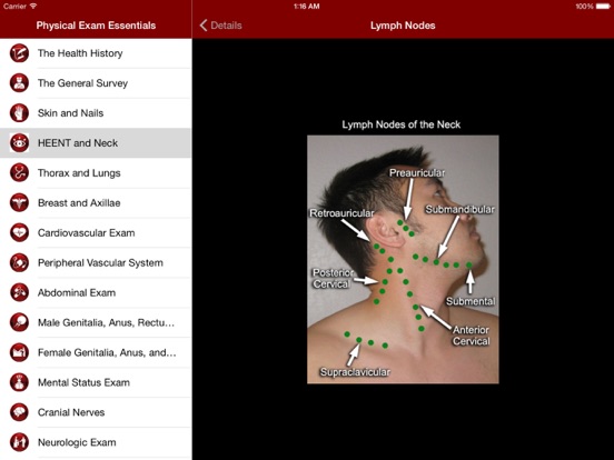 Screenshot #6 pour Physical Exam Essentials