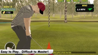 Golf Ball Shot Experts screenshot 3