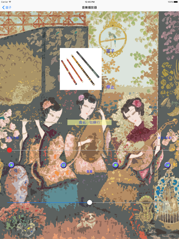 中國樂器 iPad screenshot 5 - Music app