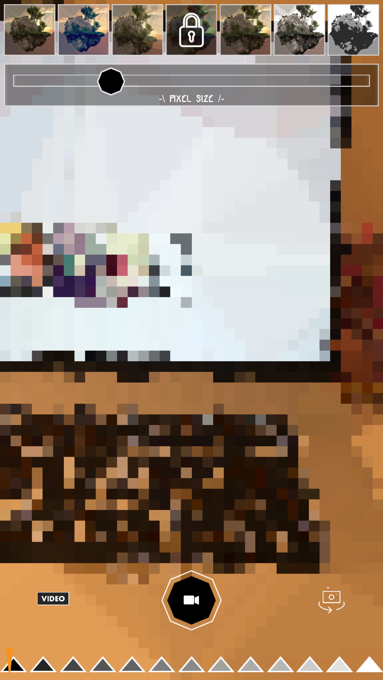 Polygon.Camera make polygon videos and pictures