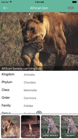Animal Pictures and Facts(圖3)-速報App