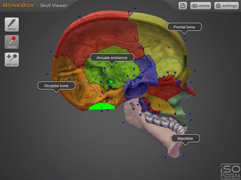 BoneBox™ - Skull Viewer - Medical App | MWM