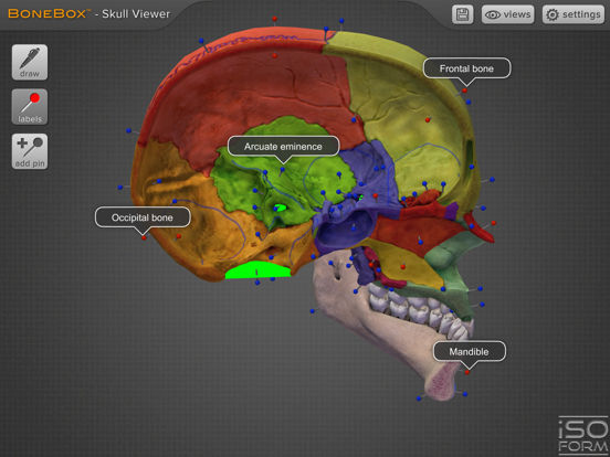 Screenshot #5 pour BoneBox™ - Skull Viewer