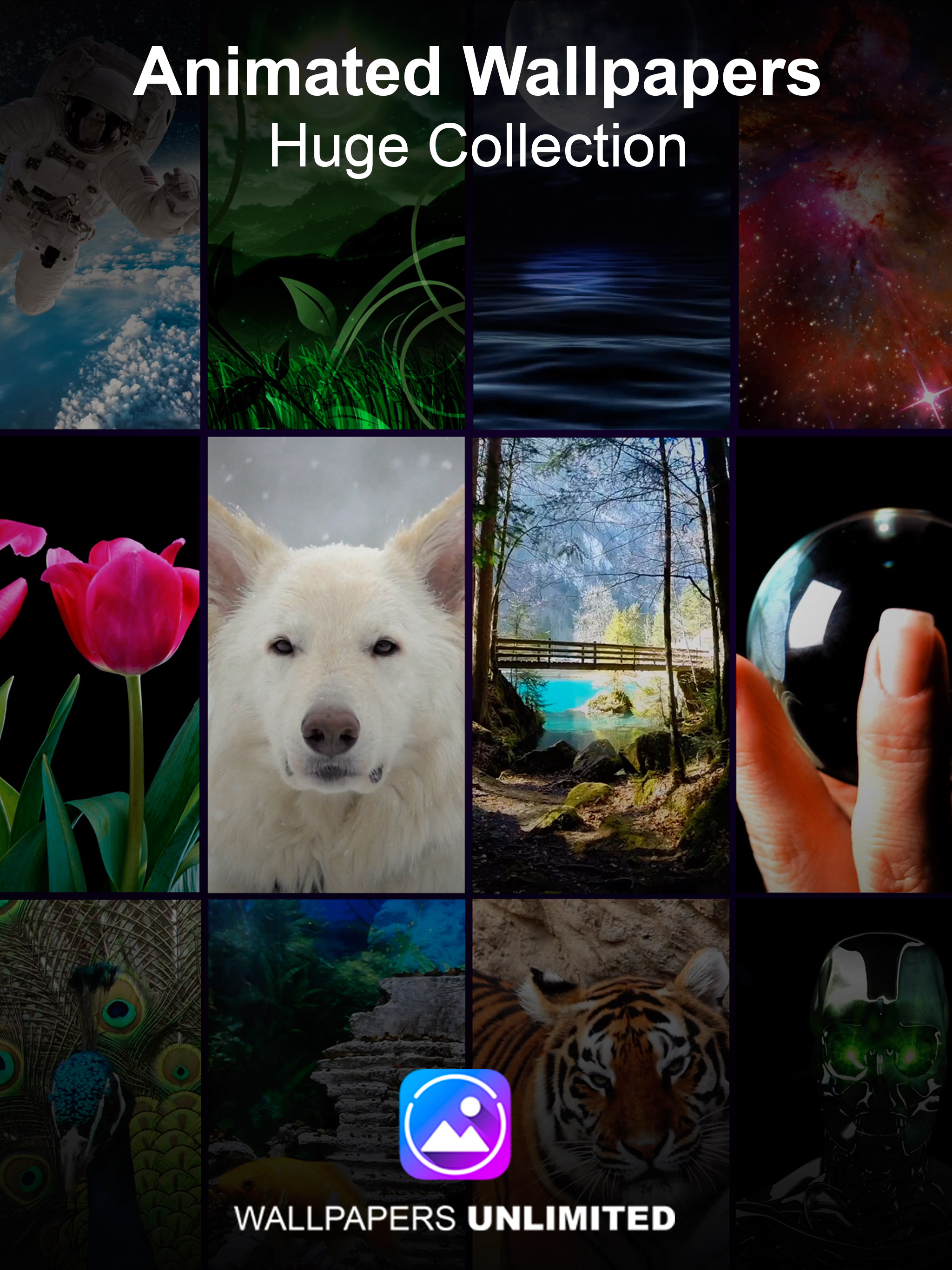 Live Wallpapers Unlimited screenshot 14